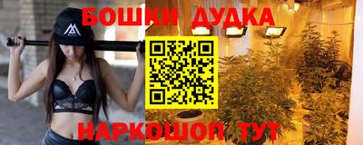 трава Гатчина