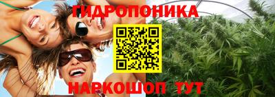 трава Гатчина