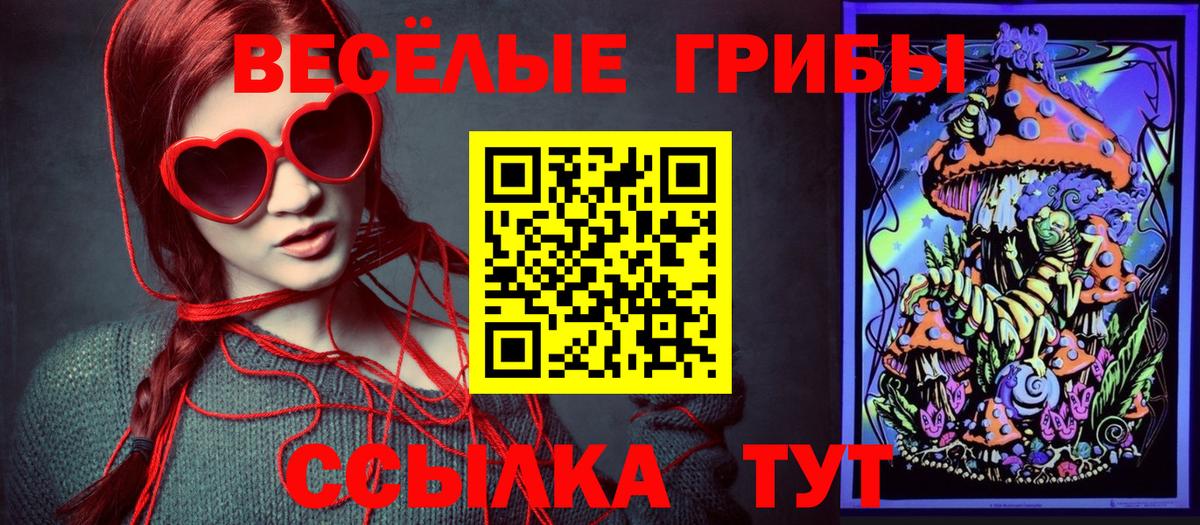 Галлюциногенные грибы Cubensis Гурьевск