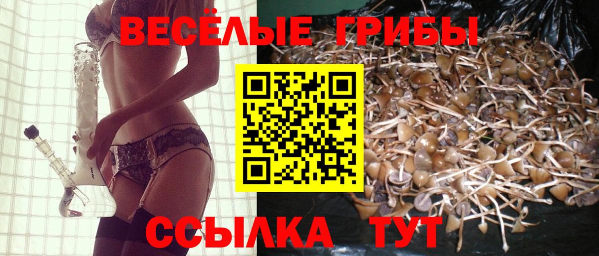 Гурьевск  Галлюциногенные грибы мицелий  Вход с VPN 